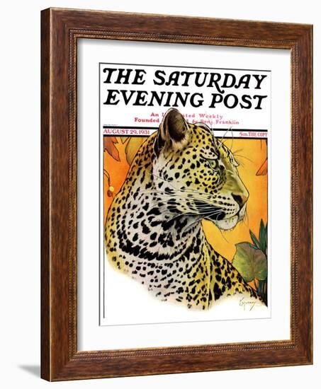 "Leopard," Saturday Evening Post Cover, August 29, 1931-Jack Murray-Framed Giclee Print