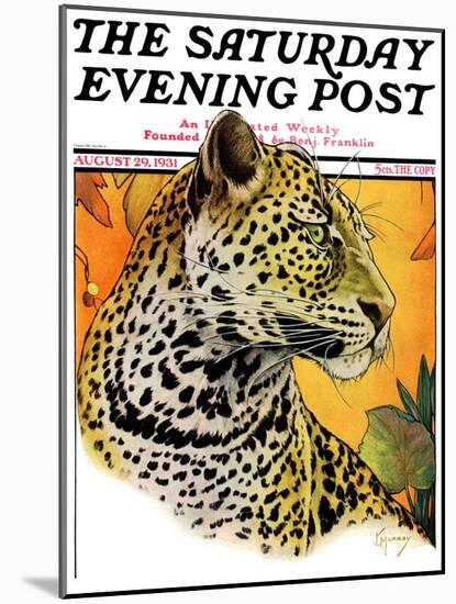 "Leopard," Saturday Evening Post Cover, August 29, 1931-Jack Murray-Mounted Giclee Print