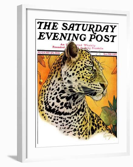 "Leopard," Saturday Evening Post Cover, August 29, 1931-Jack Murray-Framed Giclee Print