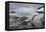 Leopard Seal Hunting Gentoo Penguin, Antarctica-Paul Souders-Framed Premier Image Canvas