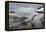 Leopard Seal Hunting Gentoo Penguin, Antarctica-Paul Souders-Framed Premier Image Canvas