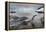 Leopard Seal Hunting Gentoo Penguin, Antarctica-Paul Souders-Framed Premier Image Canvas