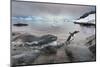 Leopard Seal Hunting Gentoo Penguin, Antarctica-Paul Souders-Mounted Photographic Print