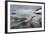 Leopard Seal Hunting Gentoo Penguin, Antarctica-Paul Souders-Framed Photographic Print