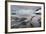 Leopard Seal Hunting Gentoo Penguin, Antarctica-Paul Souders-Framed Photographic Print