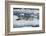 Leopard Seal Looking Up-DLILLC-Framed Photographic Print