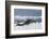 Leopard Seal Lounging on an Iceberg-DLILLC-Framed Photographic Print