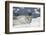 Leopard Seal on an Iceberg-DLILLC-Framed Photographic Print