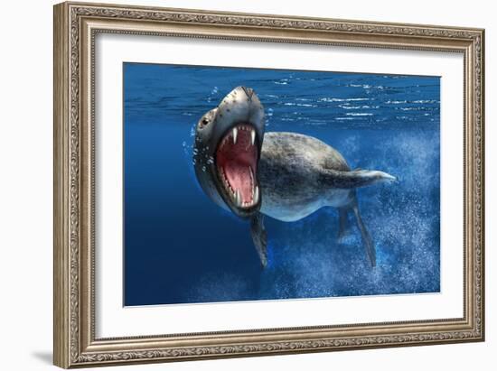 Leopard Seal Swimming Underwater Showing its Sharp Teeth-null-Framed Art Print