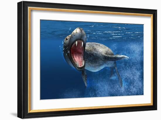 Leopard Seal Swimming Underwater Showing its Sharp Teeth-null-Framed Art Print