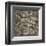 Leopard Skin-Susan Clickner-Framed Giclee Print