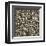 Leopard Skin-Susan Clickner-Framed Giclee Print