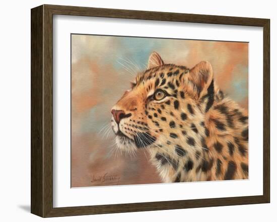 Leopard study 3-David Stribbling-Framed Art Print