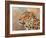 Leopard study 3-David Stribbling-Framed Art Print