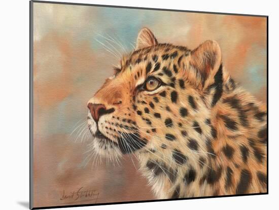 Leopard study 3-David Stribbling-Mounted Art Print