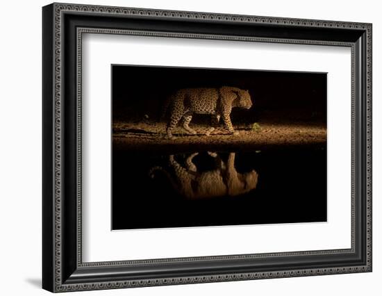 Leopard walking beside waterhole, reflected in the water at dusk, South Africa-Sergey Gorshkov-Framed Photographic Print