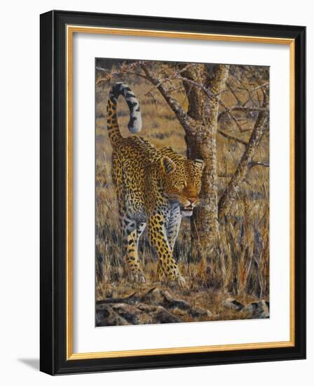 Leopard Walking-Peter Blackwell-Framed Art Print