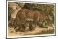 Premium Giclee Print