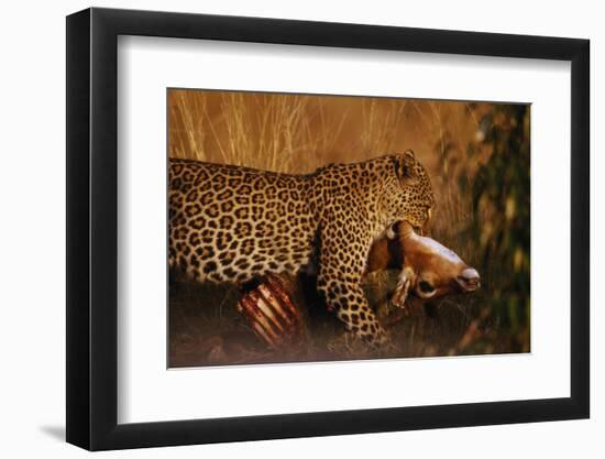 Leopard with Impala Kill-null-Framed Photographic Print