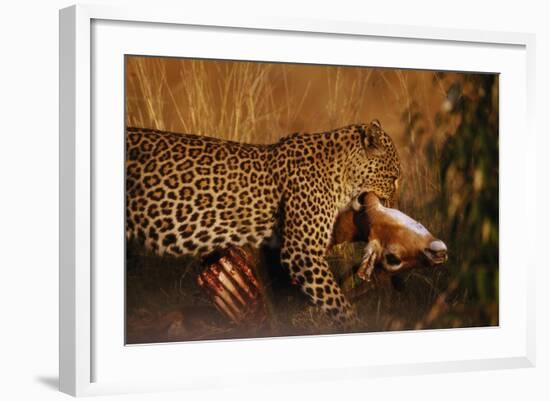 Leopard with Impala Kill-null-Framed Photographic Print