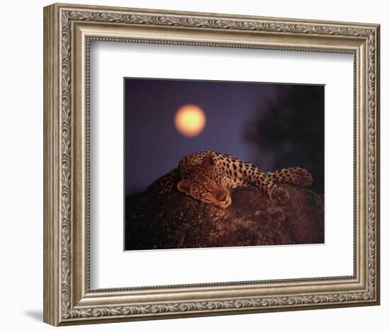 Leopard with Rising Moon-Thom-Framed Art Print