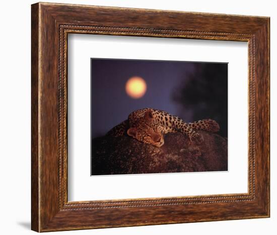 Leopard with Rising Moon-Thom-Framed Art Print