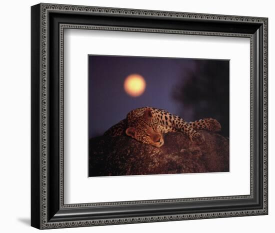 Leopard with Rising Moon-Thom-Framed Art Print