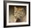 Leopard-Chris Vest-Framed Art Print