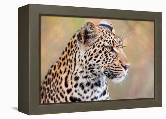 Leopard-Howard Ruby-Framed Premier Image Canvas