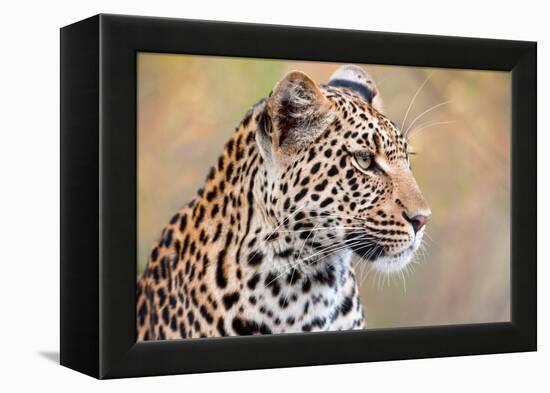 Leopard-Howard Ruby-Framed Premier Image Canvas