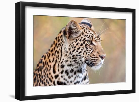 Leopard-Howard Ruby-Framed Photographic Print