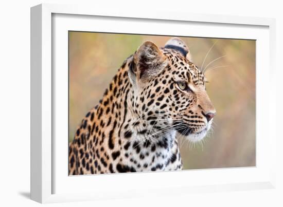 Leopard-Howard Ruby-Framed Photographic Print