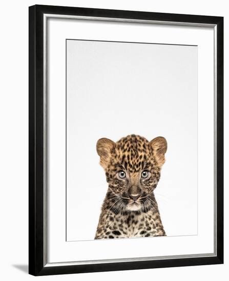 Leopard-Tai Prints-Framed Photographic Print