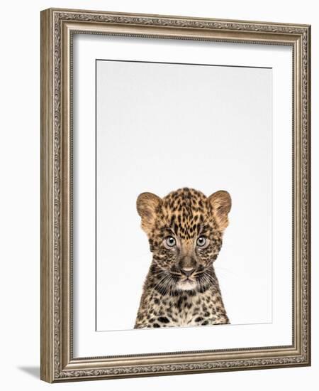 Leopard-Tai Prints-Framed Photographic Print