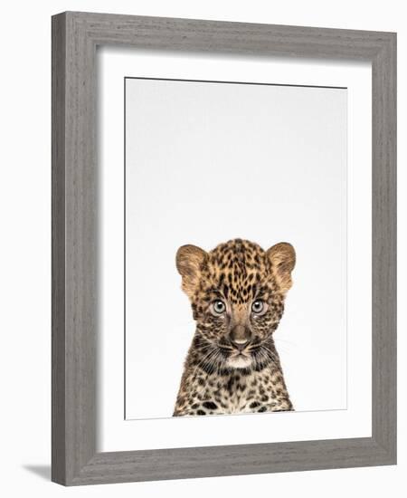 Leopard-Tai Prints-Framed Photographic Print