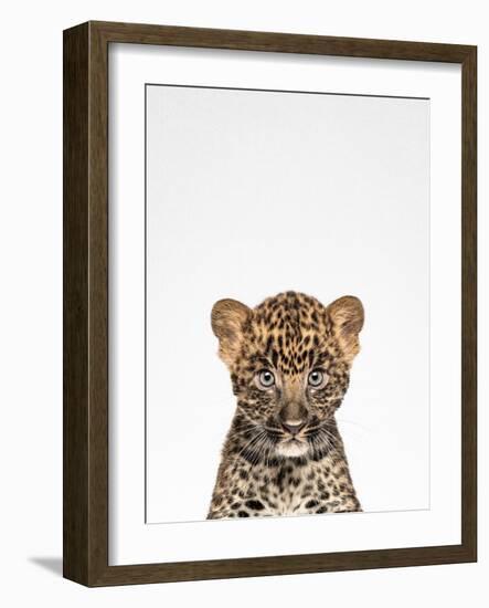 Leopard-Tai Prints-Framed Photographic Print