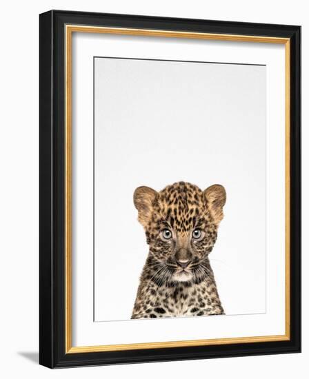 Leopard-Tai Prints-Framed Photographic Print