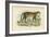 Leopard-English School-Framed Giclee Print