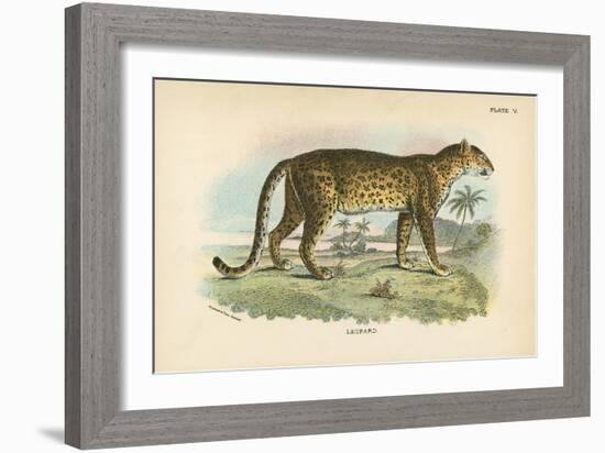 Leopard-English School-Framed Giclee Print
