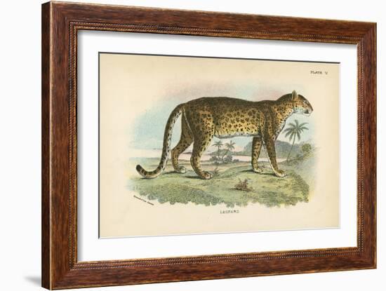 Leopard-English School-Framed Giclee Print