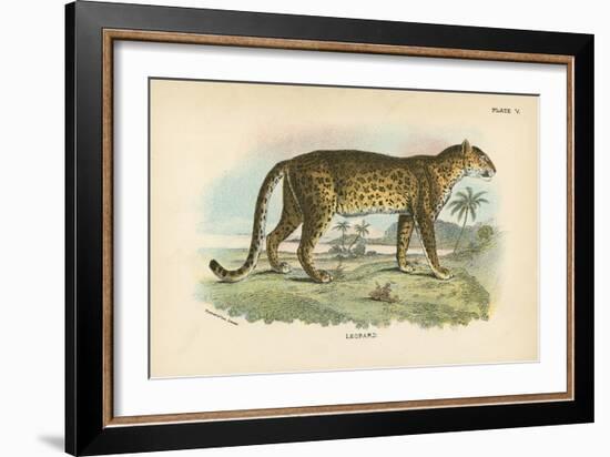 Leopard-English School-Framed Giclee Print