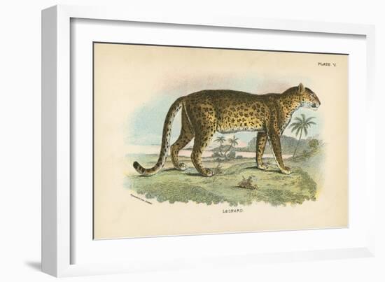 Leopard-English School-Framed Giclee Print