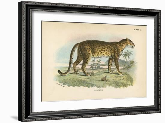 Leopard-English School-Framed Giclee Print