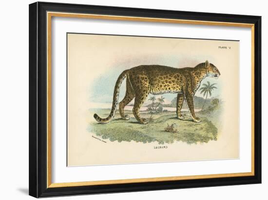 Leopard-English School-Framed Giclee Print