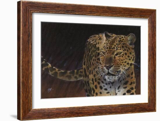 Leopard-Durwood Coffey-Framed Giclee Print