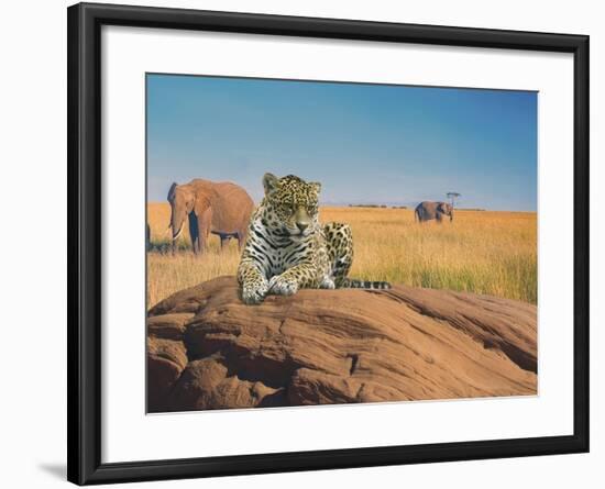 Leopard-Ata Alishahi-Framed Giclee Print