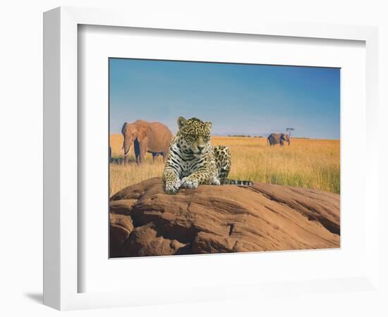 Leopard-Ata Alishahi-Framed Giclee Print