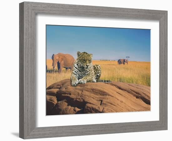 Leopard-Ata Alishahi-Framed Giclee Print
