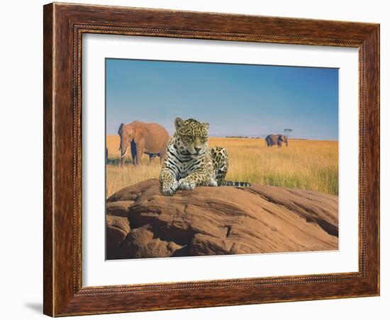 Leopard-Ata Alishahi-Framed Giclee Print