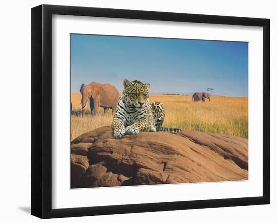 Leopard-Ata Alishahi-Framed Giclee Print